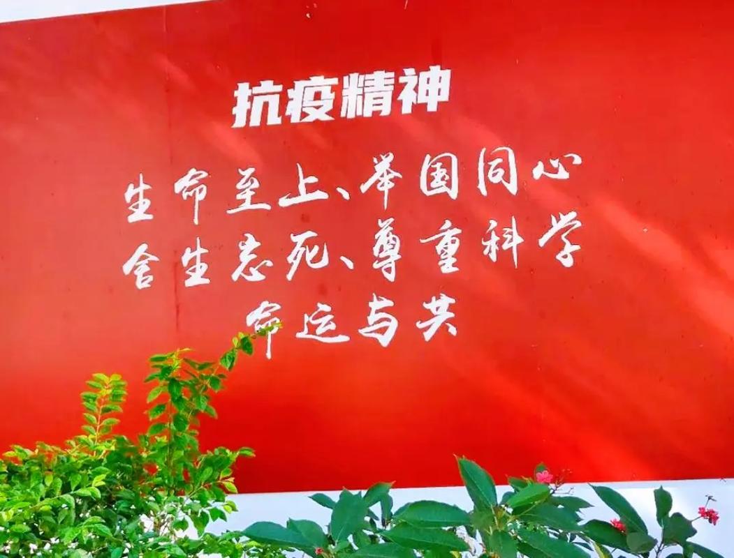 _同舟共济打赢疫情战役_同舟共济共同抗疫