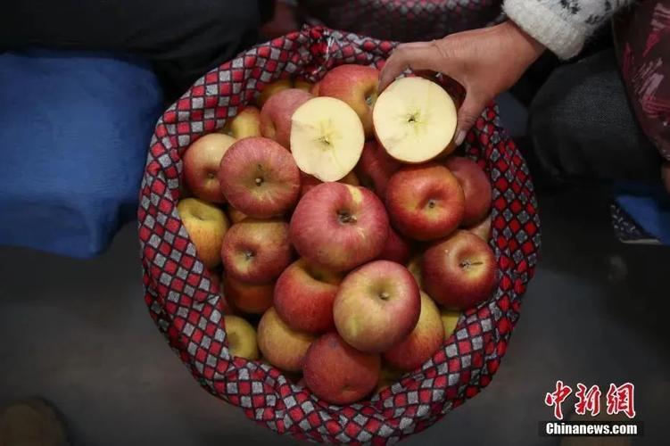 晋州10月7日有无疫情？河北苹果摊引发疫情详情