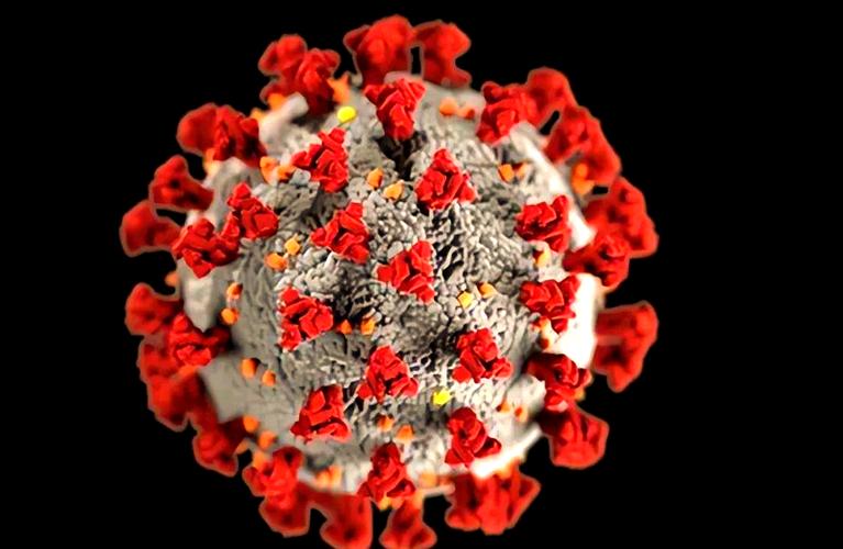 美国新冠致30万人惨死，多维度对比非典与新冠谁更可怕？