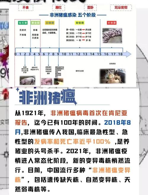 双汇非洲猪瘟事件处理结果__双汇猪肉疫情