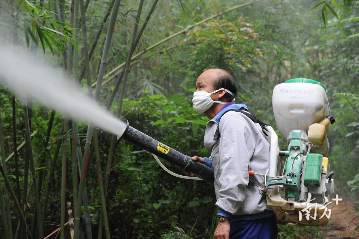 广水市松材线虫病除治中标公司名单及随州新增无症状感染者情况
