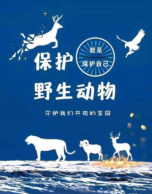 疫情旅游时代后的感受_疫情后时代的旅游业_