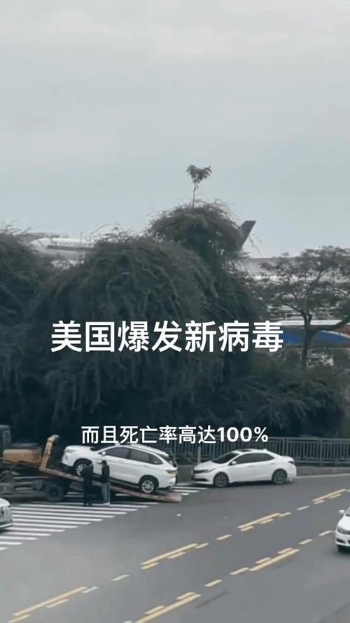 美国新冠疫情严峻！单日新增145万，一天死亡2235人