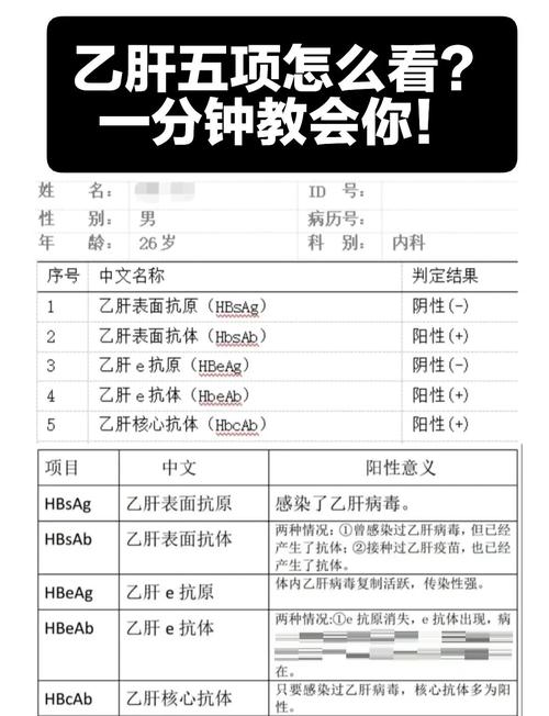 45阳性永久会不会得乙肝？感染风险与抗体情况大揭秘