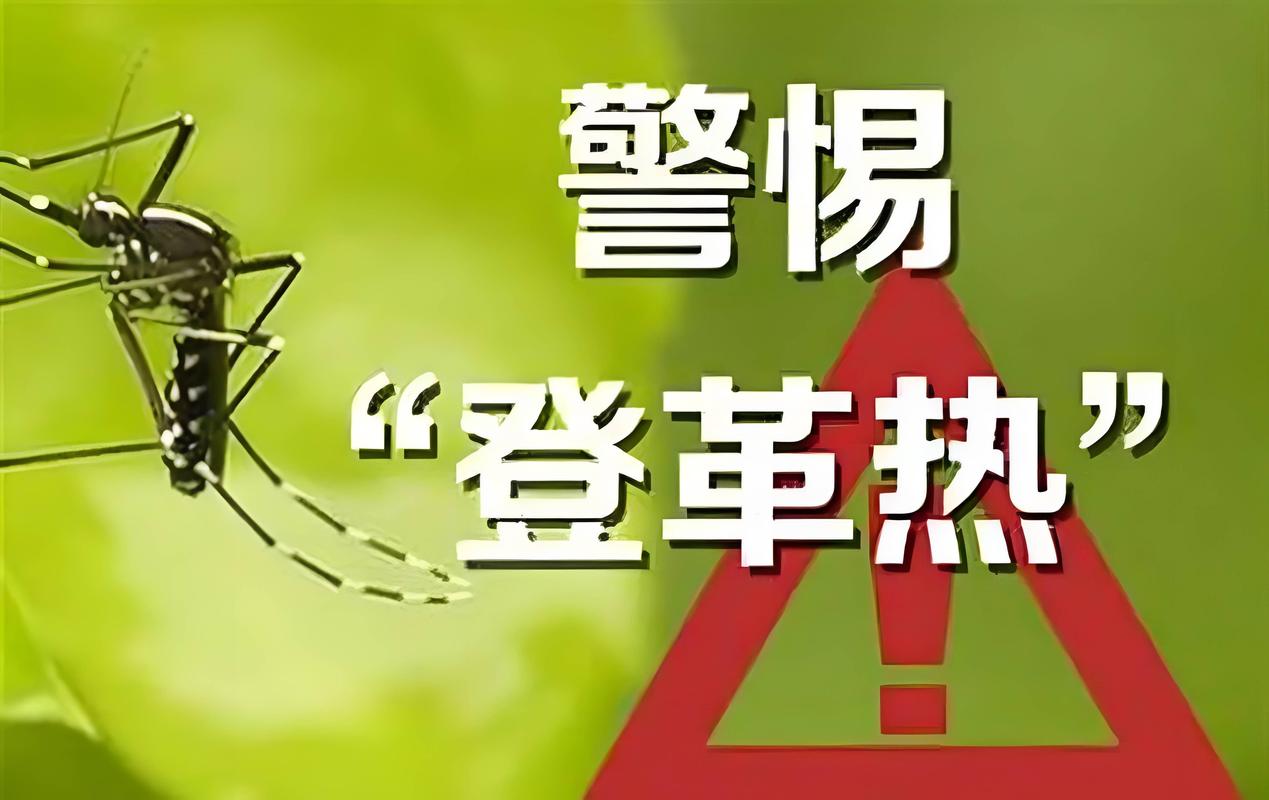 新加坡是疫情最严重国家？登革热疫情严峻引关注