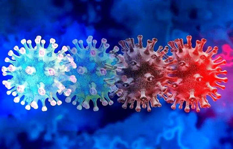 疫情防控形势严峻，国内外现状及奥密克戎毒株带来的挑战