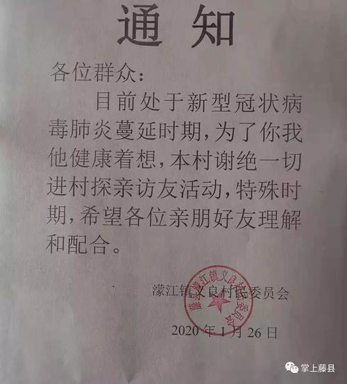 疫情证明通行证怎么开_疫情通行证明模版_