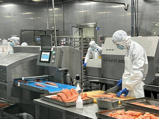 浙江四道防线保进口冷链食品安全，三文鱼案板曾检出新冠病毒