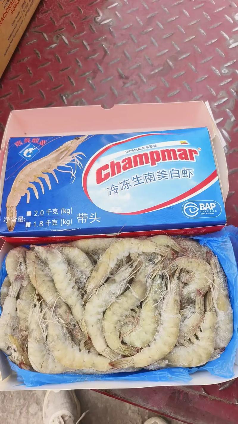 _厄瓜多尔的白虾会有疫情吗_厄瓜多尔白虾阳性