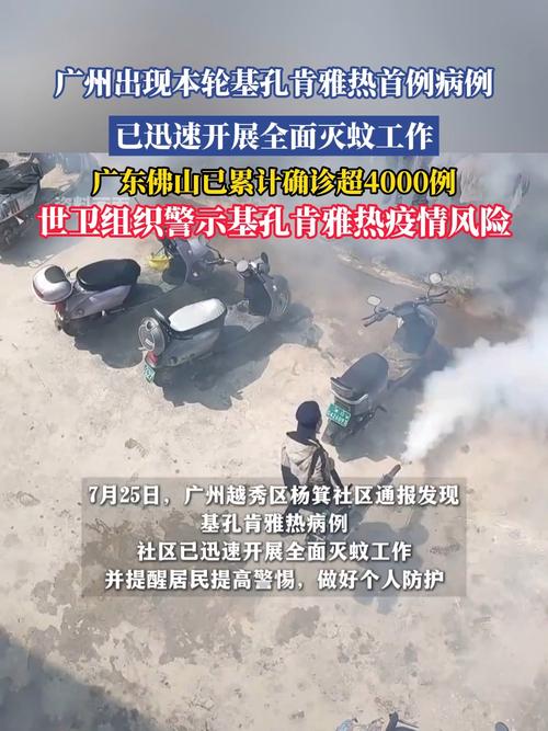 _冠肺炎最新数据_冠状病毒肺炎实时动态