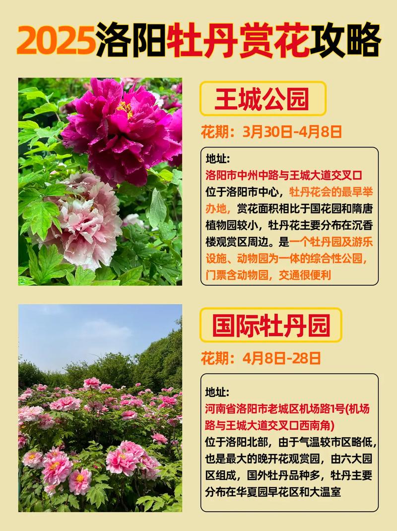 洛阳疫情期间开放的景区__洛阳景区封闭