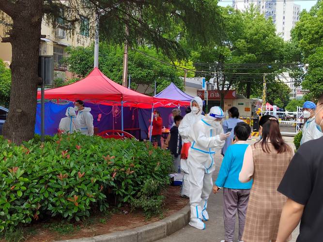 _石家庄免费做核酸_石家庄核算检测免费